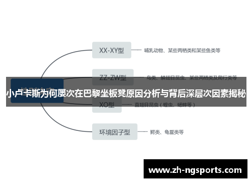 小卢卡斯为何屡次在巴黎坐板凳原因分析与背后深层次因素揭秘